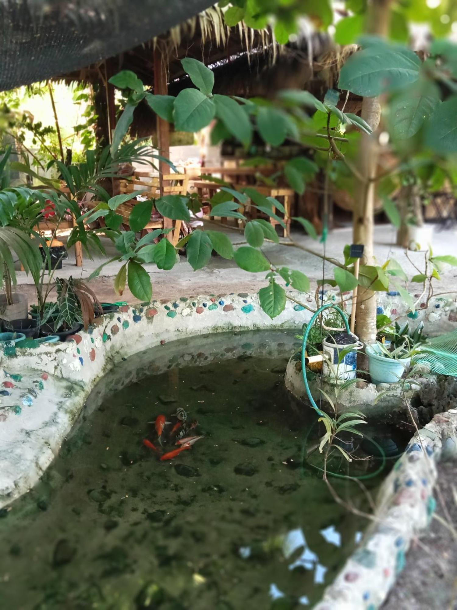 Weeroona Huts Homestay Pacifico San Isidro  エクステリア 写真