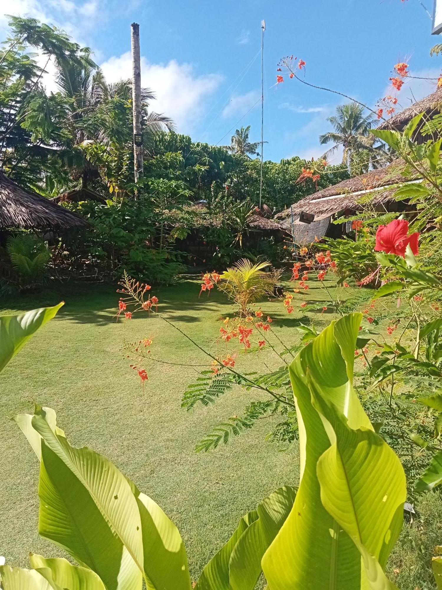 Weeroona Huts Homestay Pacifico San Isidro  エクステリア 写真